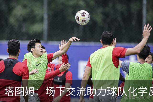 塔图姆：场下交流助力球队化学反应的重要性